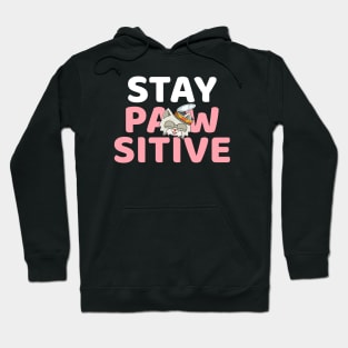 kittyswat Andy Stay Pawsitive Hoodie